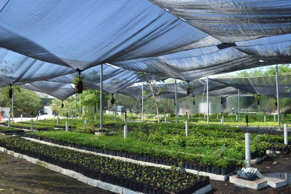 vivero3