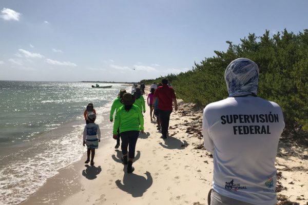 reforestacion-cozumel-dia-arbol-julio-21-2