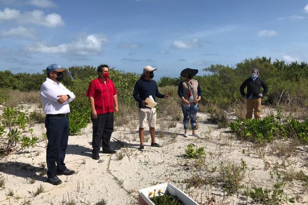 reforestacion-cozumel-dia-arbol-julio-21-5