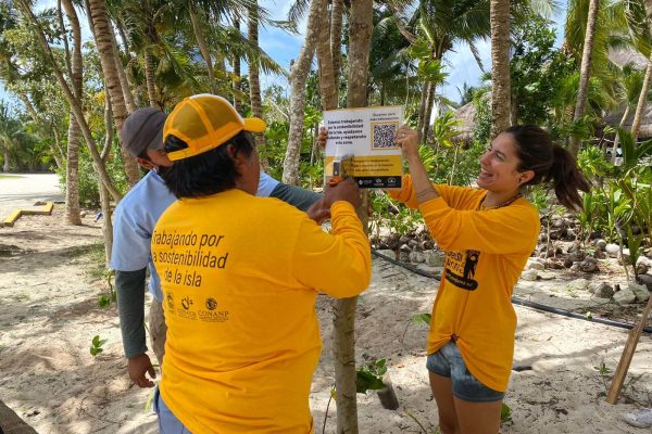 reforestacion-duna-cozumel 2022-03-31 at 1.07.06 PM