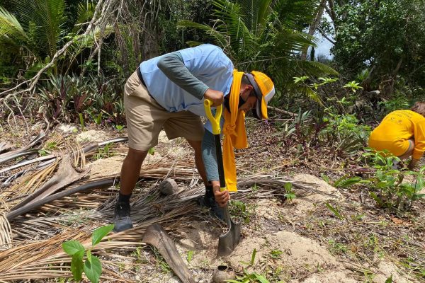 reforestacion-duna-cozumel 2022-03-31 at 1.08.12 PM