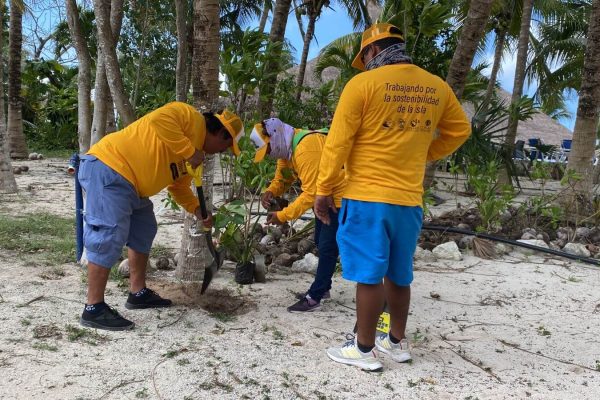 reforestacion-duna-cozumel 2022-03-31 at 11.17.10 AM 2