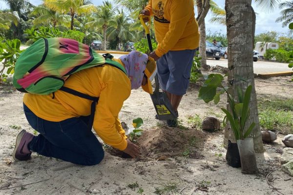 reforestacion-duna-cozumel 2022-03-31 at 11.17.37 AM