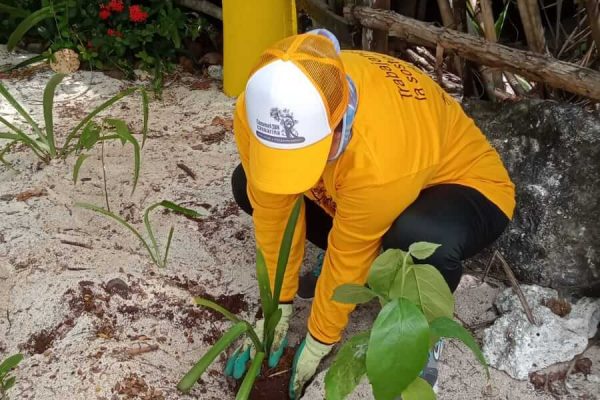 reforestacion-duna-cozumel 2022-03-31 at 3.07.33 PM