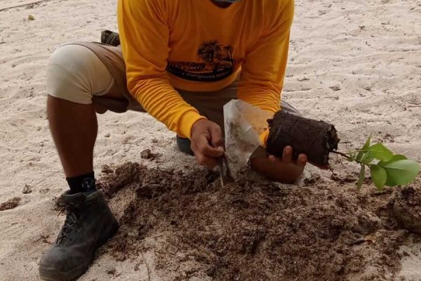 reforestacion-duna-cozumel 2022-03-31 at 3.07.36 PM (3)