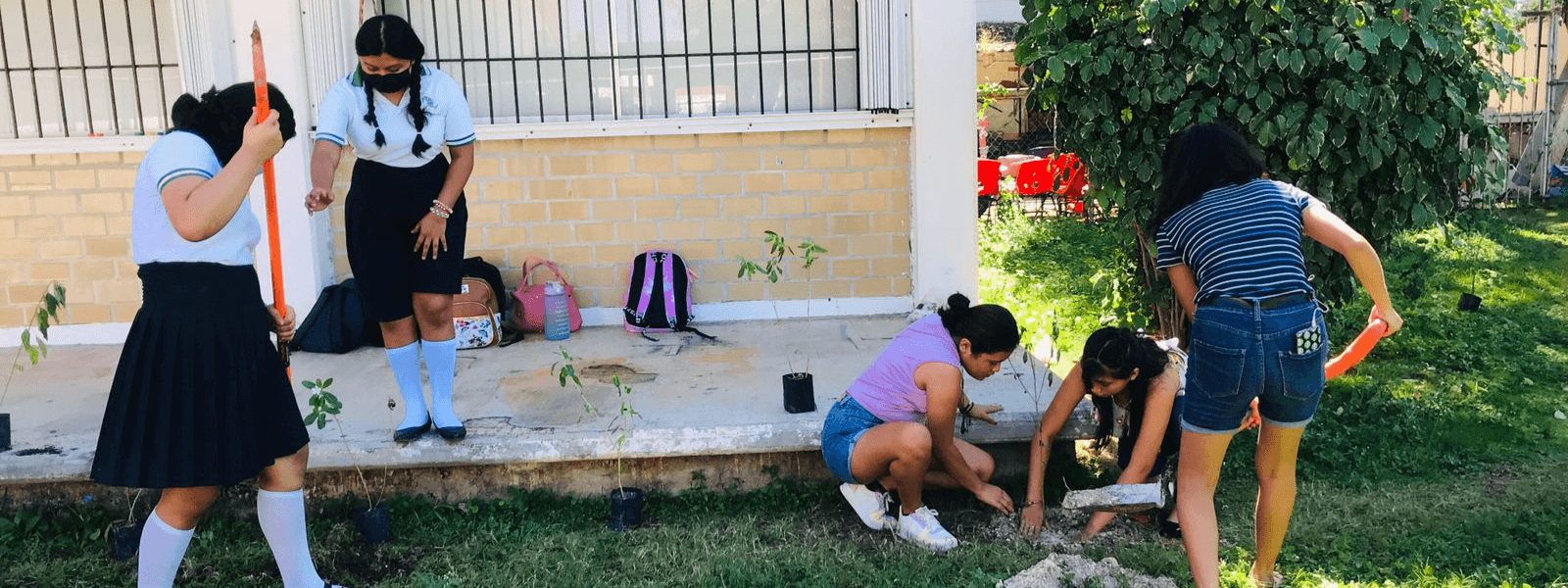 Reforestación de una escuela CECyTE de Playa del Carmen