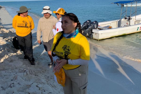 reforestacion-cozumel-nov-23-4