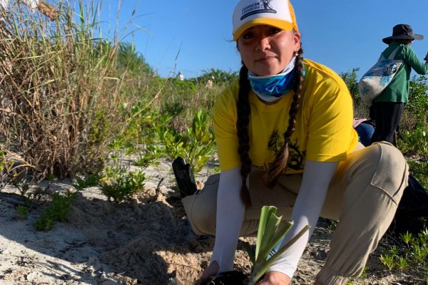 reforestacion-cozumel-nov-23-5