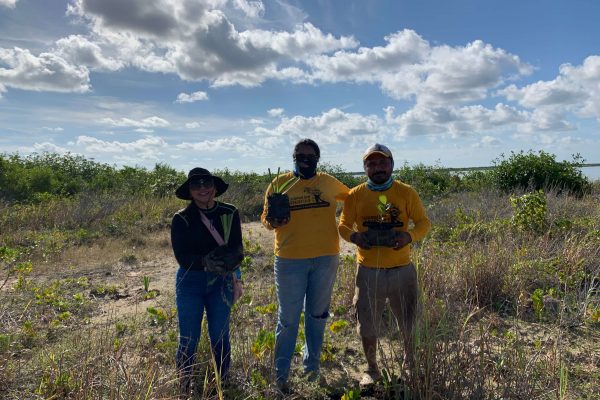 reforestacion-cozumel-nov-23-7