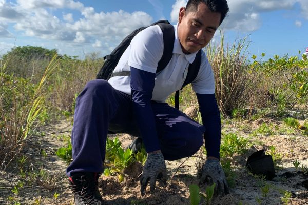 reforestacion-cozumel-nov-23-8