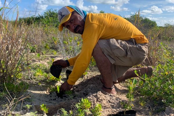 reforestacion-cozumel-nov-23-9