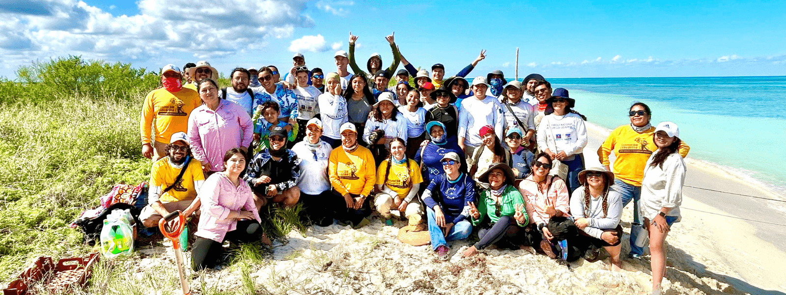 Reforestación de duna costera con 2,700 plantas en Cozumel