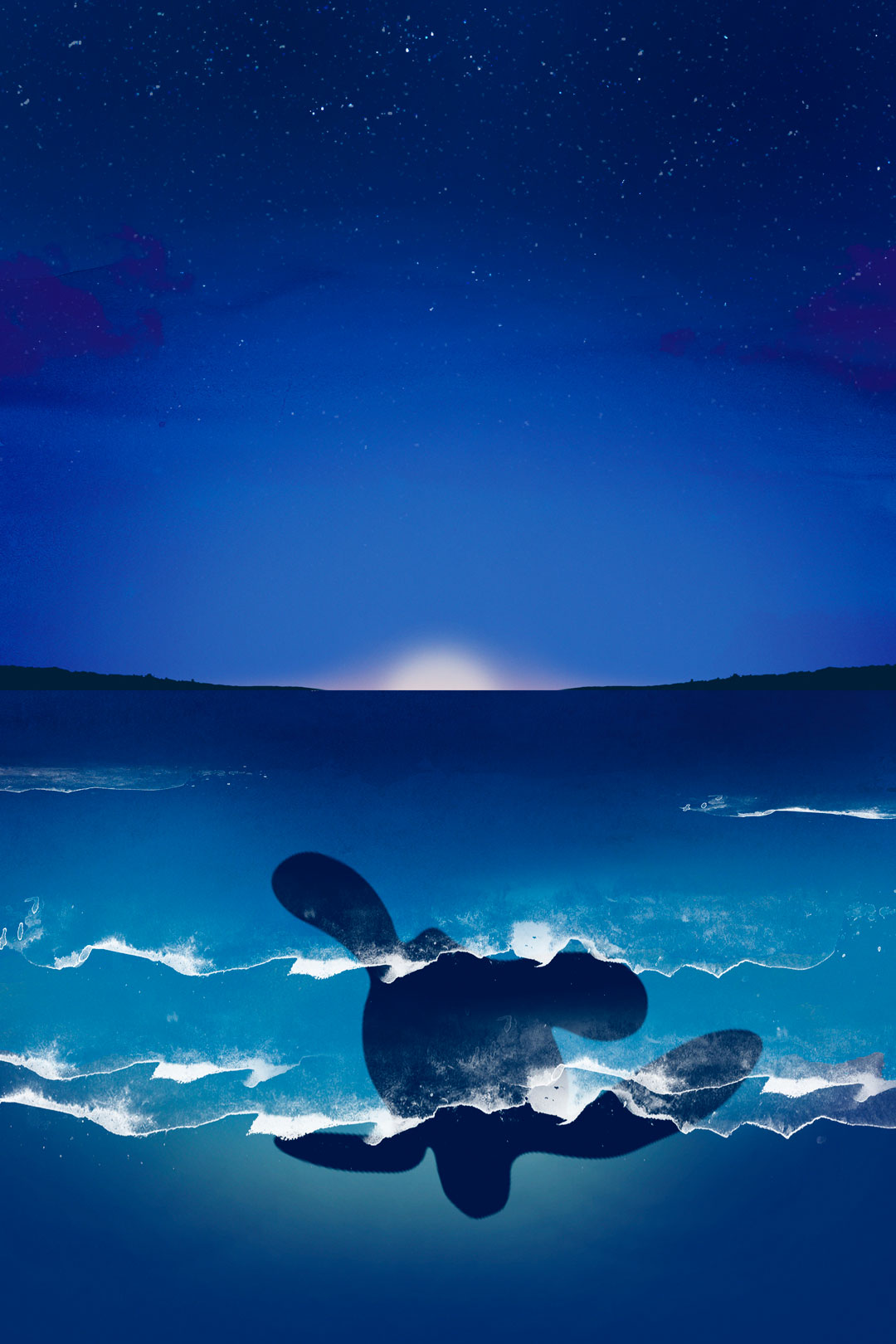 tortuga marina saliendo para anidar