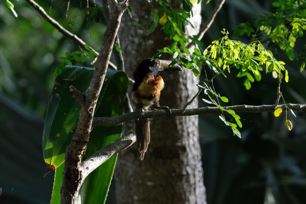 2do lugar José Eduardo Carrera Melchor 2do lugar José Eduardo Carrera Melchor