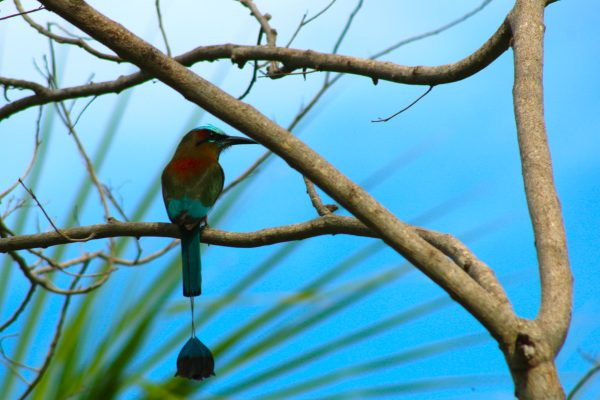 José Carlos Sansores Castro José Carlos Sansores Castro