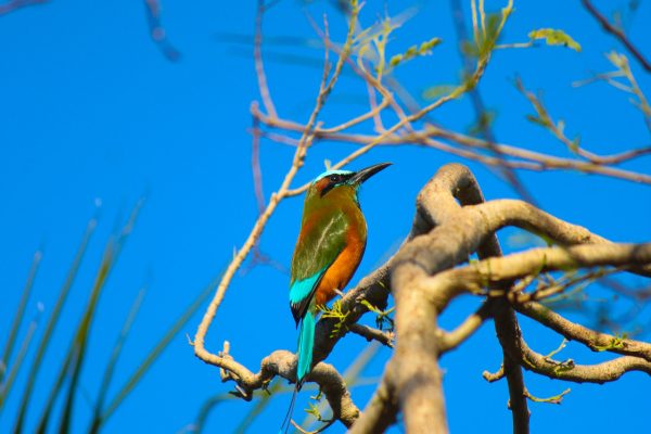 Paola Loraine Valencia2 Paola Loraine Valencia2