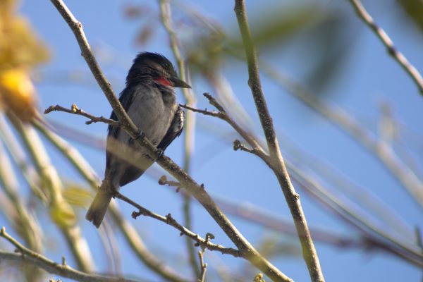 Patricia Ibañez García2 Patricia Ibañez García2