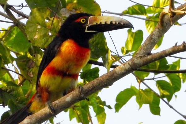 Susana Estrada Palomo Susana Estrada Palomo