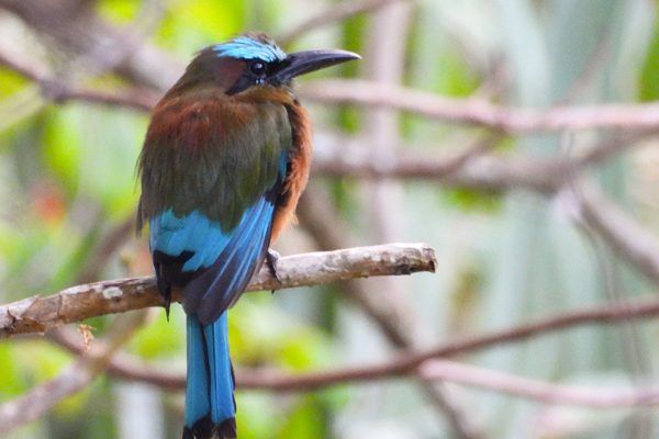 Susana Estrada Palomo2 Susana Estrada Palomo2