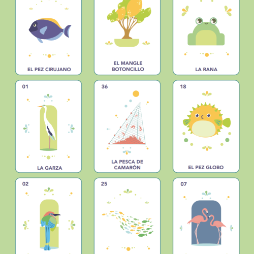 juego de lotería y memorama sobre el manglar