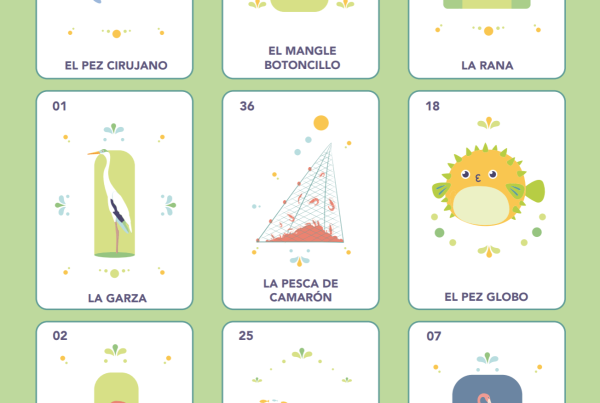 Nueva lotería y memorama de manglar