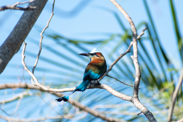 portada-web-2025 (1366 x 768 px) (2) portada-web-2025 (1366 x 768 px) (2)