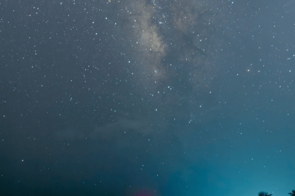 Tortugueando bajo las estrellas