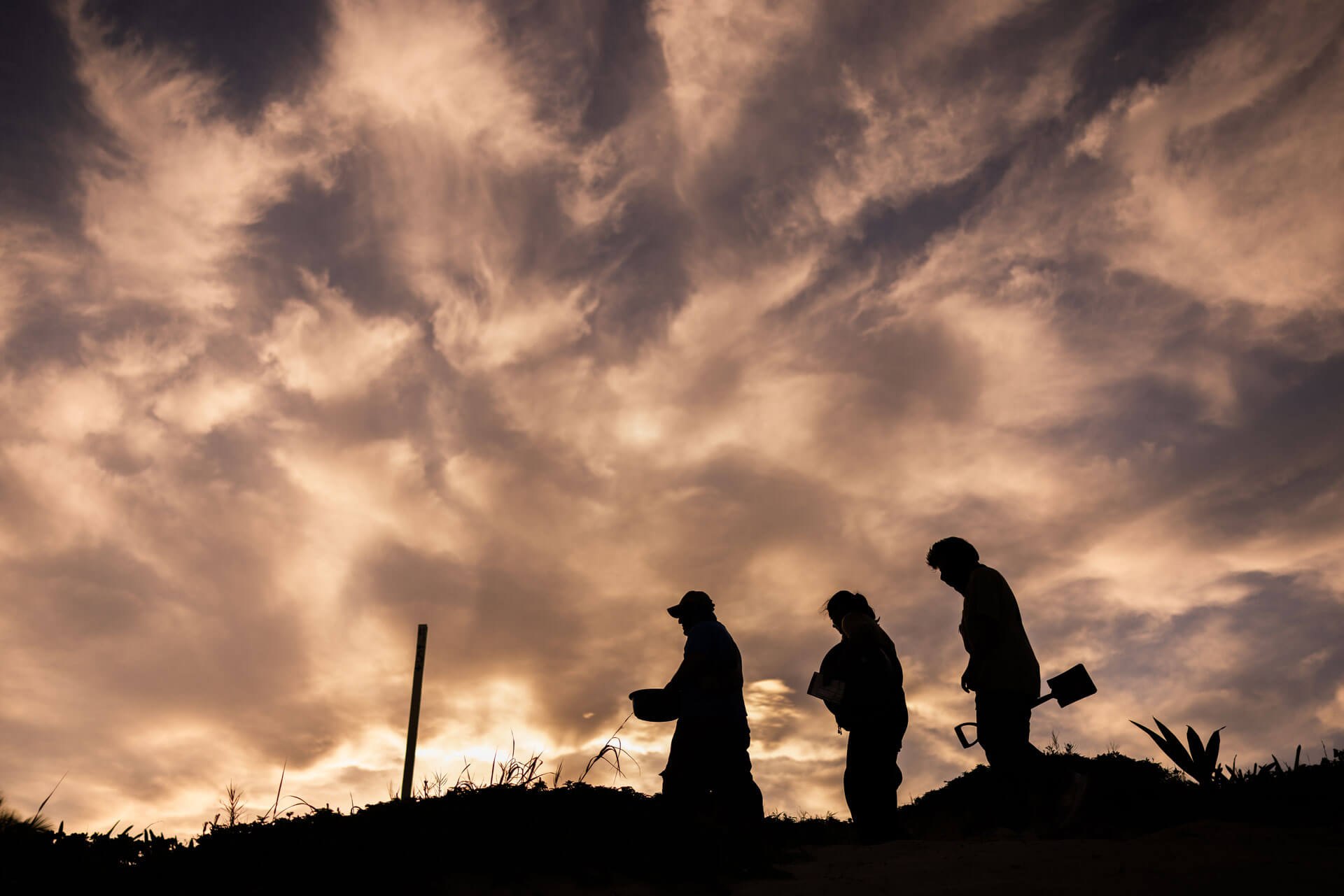 Convocatoria de Voluntariado en campamentos tortugueros 2026