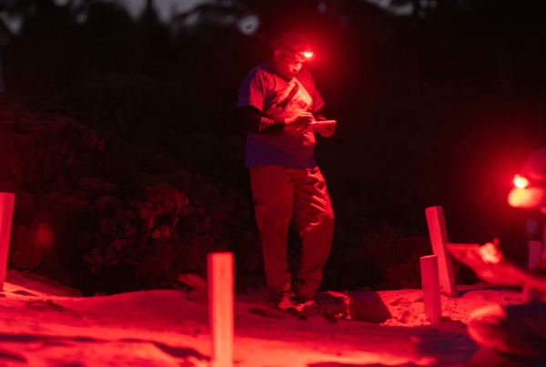 tortugueros trabajando de noche con luz roja