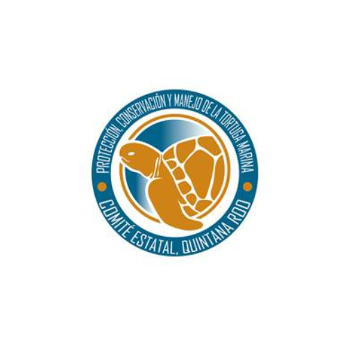 Comité Estatal de la Tortuga Marina Q. Roo