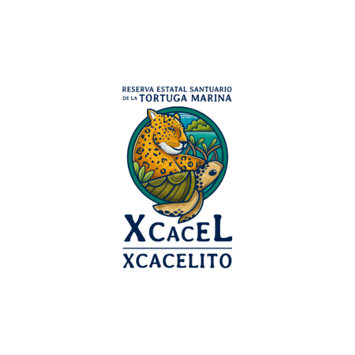 logo xcacel