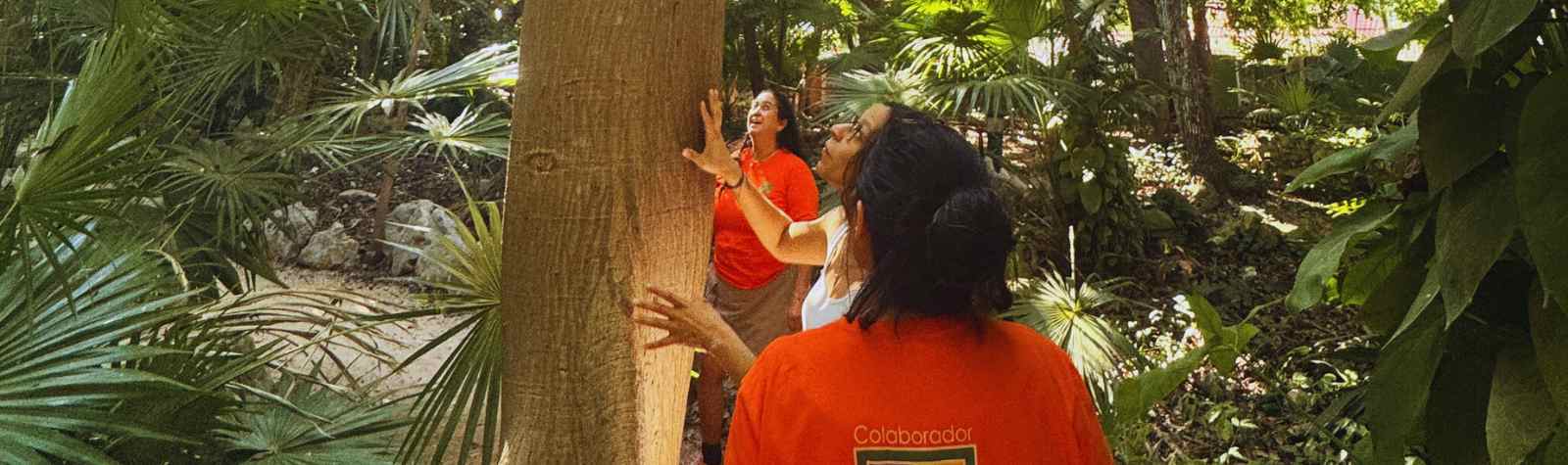 Una alianza para el aprendizaje global / Internationaler Bund – IB VAP Franken
