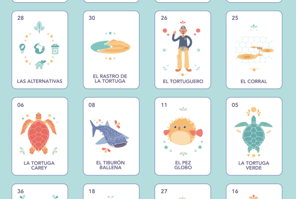 Nueva lotería y memorama de tortugas marinas