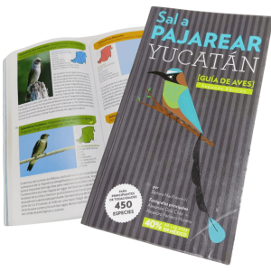 guia aves sal a pajarear yucatan
