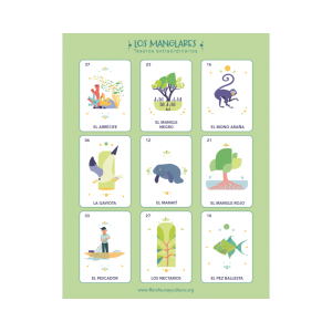 Lotería y Memorama del Ecosistema Manglar