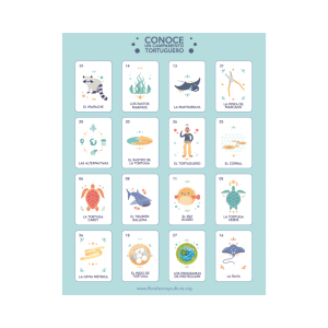 Lotería y Memorama de tortugas marinas