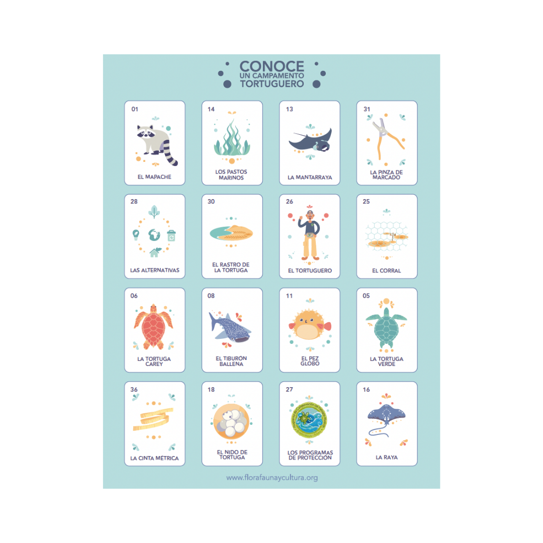 tablero-loteria-tortugas