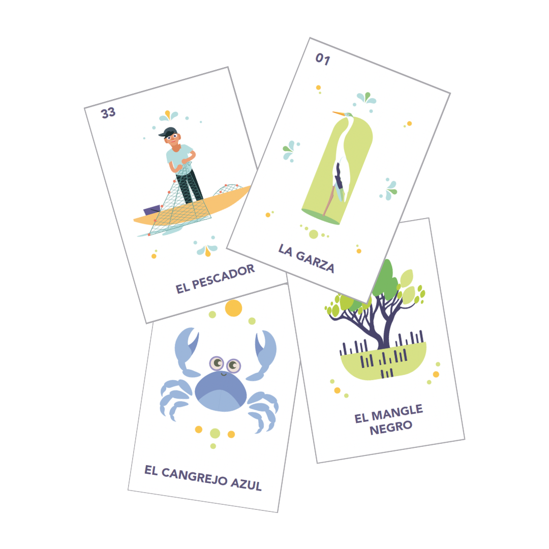 tarjetas memorama manglar