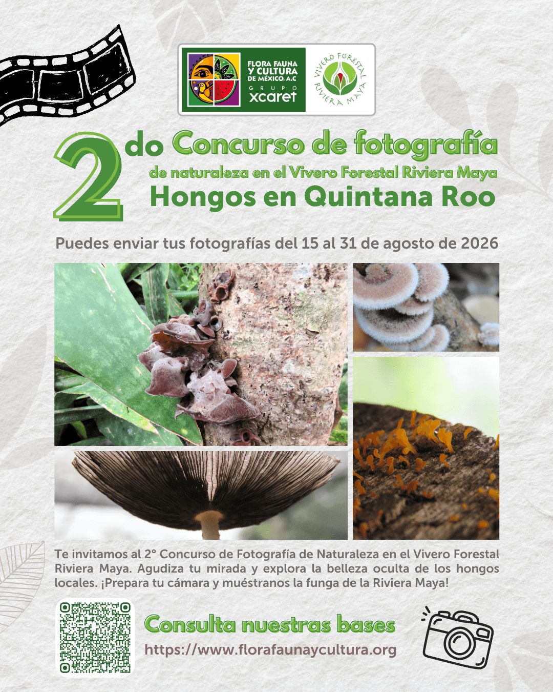 concurso fotografía hongos vivero forestal riviera maya