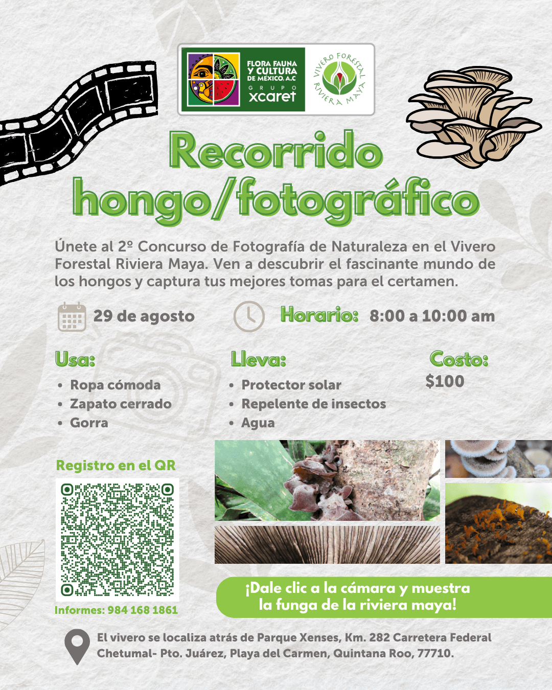 recorrido concurso fotografía hongos vivero forestal riviera maya