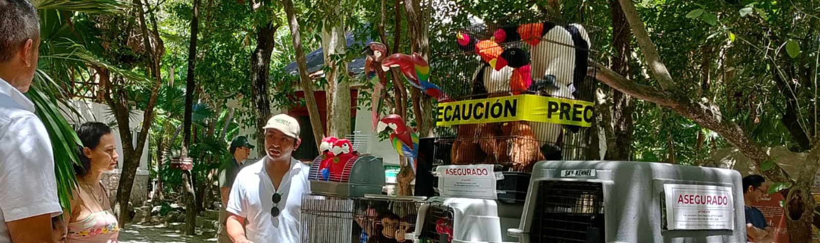 Festival Ambiental: Habitantes del Mayab en Parque La Ceiba